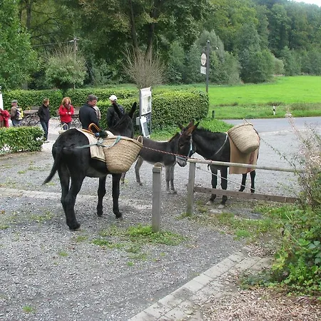 Wildenburger Hof Hotel 3*