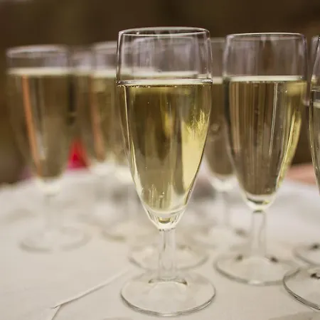 Отель Wildenburger Hof