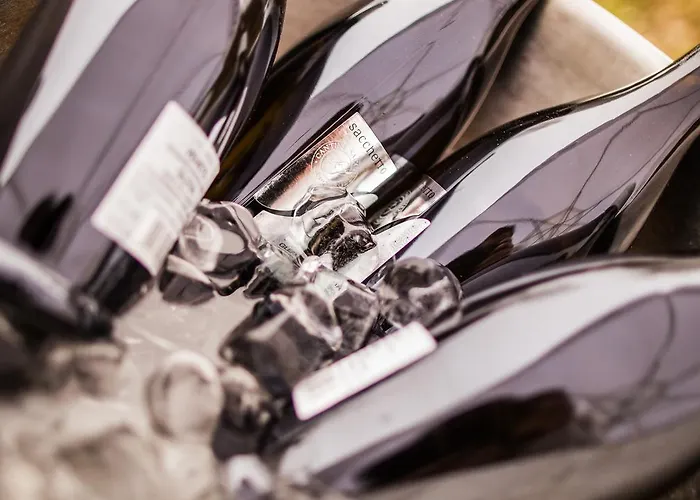 Hotel Wildenburger Hof 3*