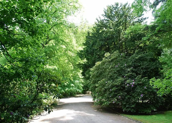 Hotel Wildenburger Hof Friesenhagen