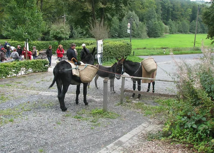 Wildenburger Hof Hotel 3*