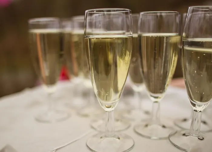 Hotel Wildenburger Hof