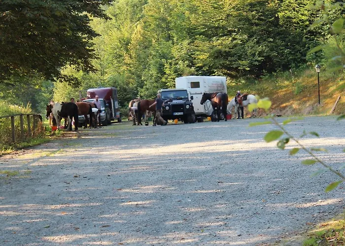 Wildenburger Hof Hotel 3*